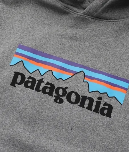 Patagonia  |Street Style Cotton Logo Outdoor Hoodies